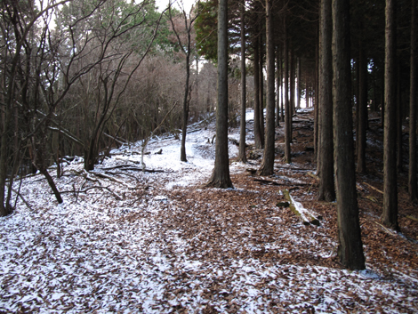 20161216hike (188)
